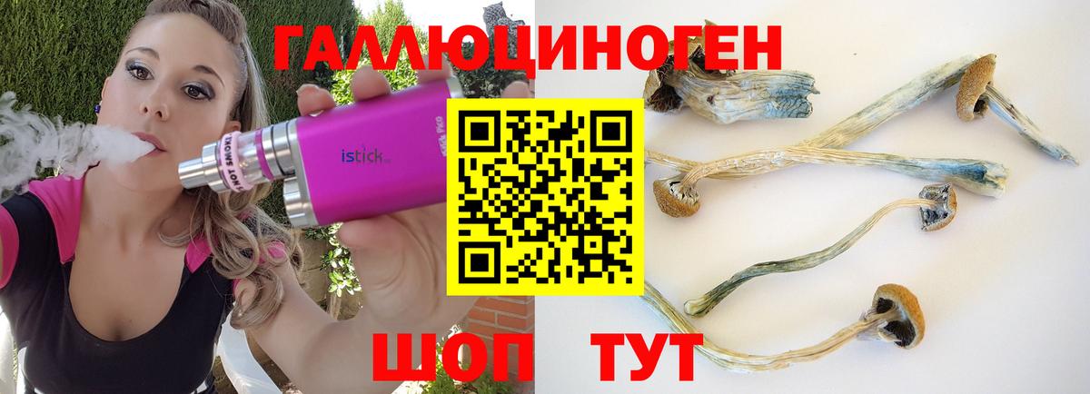 Псилоцибиновые грибы Psilocybe Анапа